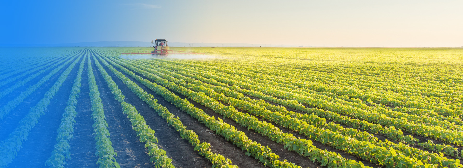 雷火竞技农业公司